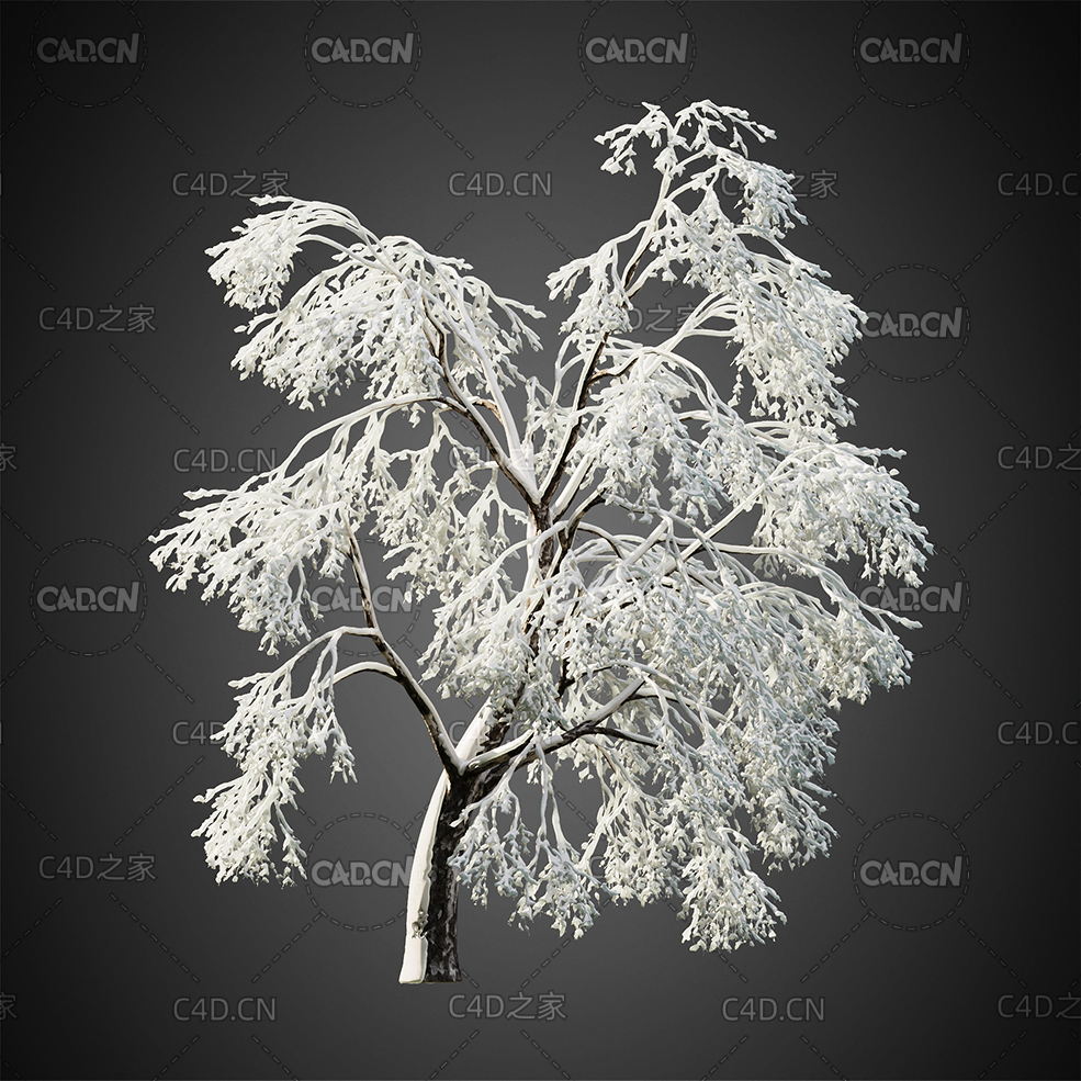 大雪覆盖的雾凇冰花树挂树木C4D模型HeliosVegetation Vol.9