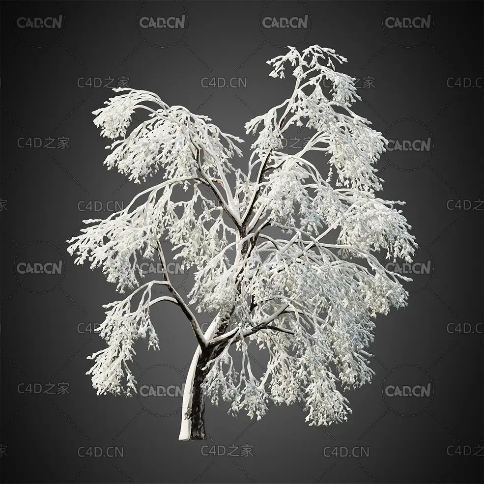 大雪覆盖的雾凇冰花树挂树木C4D模型HeliosVegetation Vol.9