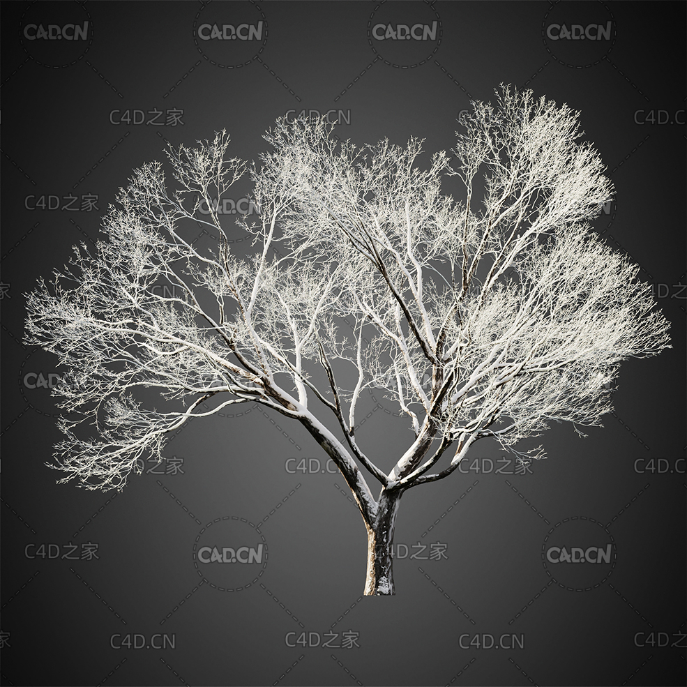 冬天树上的雪雾凇C4D模型HeliosVegetation Vol.4