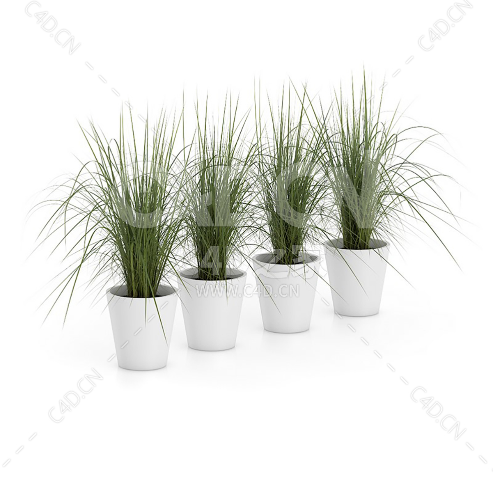 C4D4盆绿草办公室客厅盆栽绿植模型
