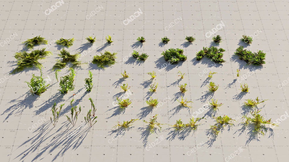 49块青苔苔藓植物模型moss - C4D之家 - Moss_ScatterElements.jpg
