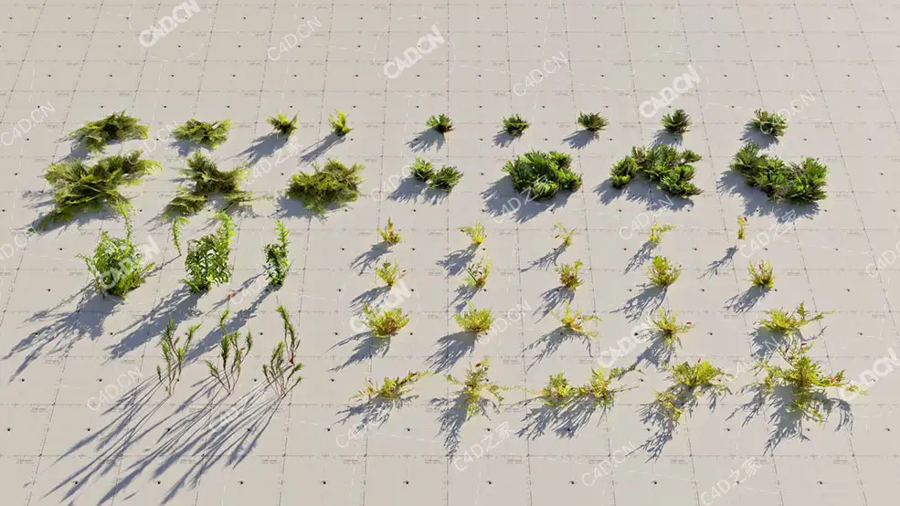 49块青苔苔藓植物模型moss