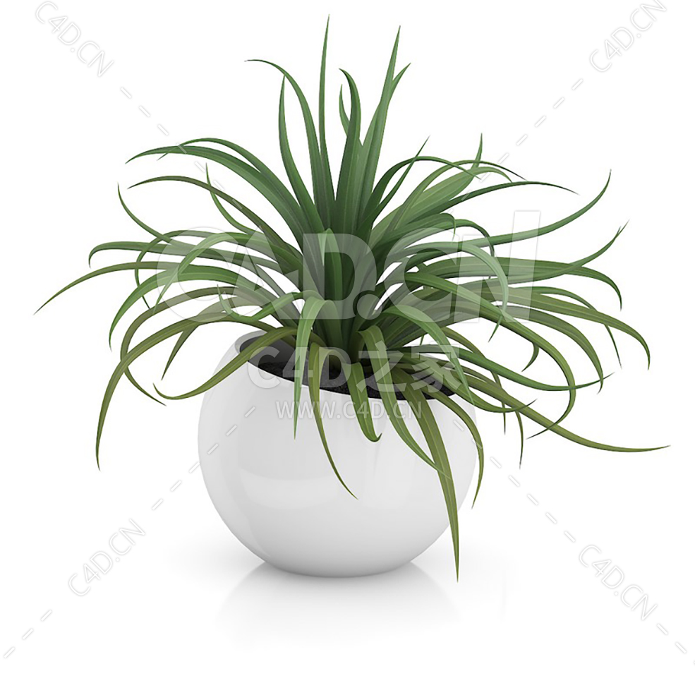 C4D吊兰办公室客厅盆栽绿植模型 - C4D之家 - 14.jpg