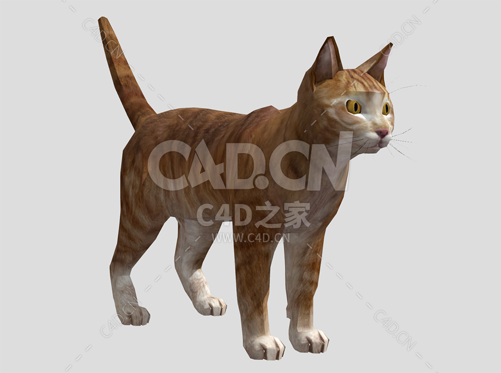 翘尾巴的小猫咪C4D动物模型cat - C4D之家 - 05.jpg