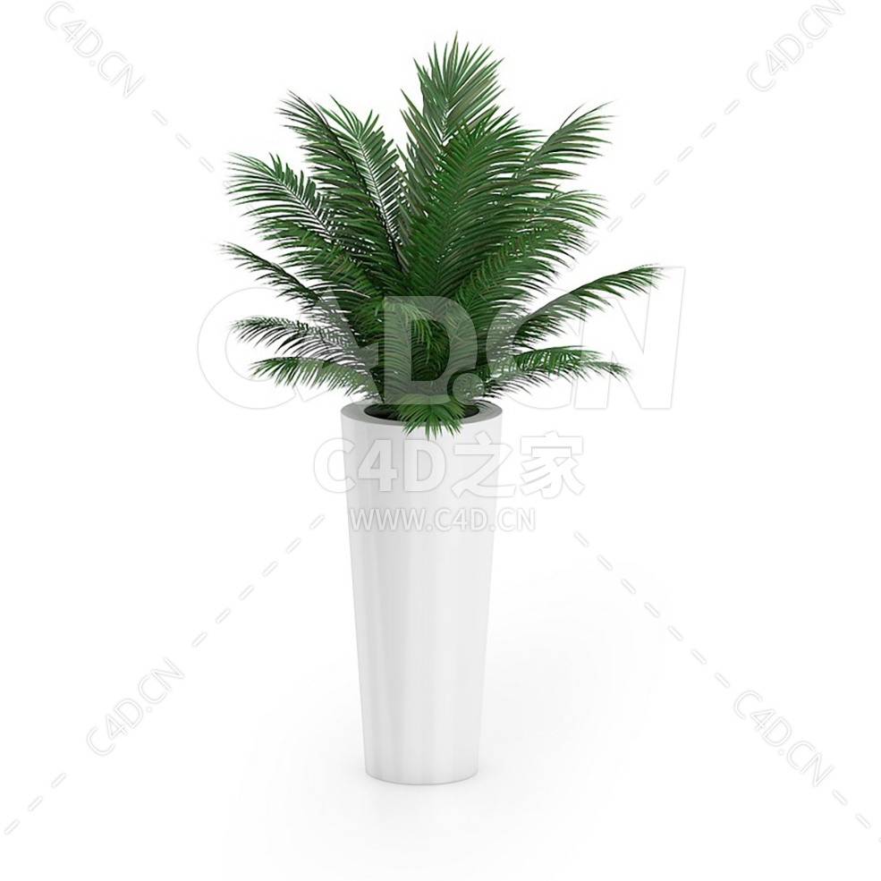 C4D苏铁棕榈办公室客厅盆栽绿植模型 - C4D之家 - 30.jpg