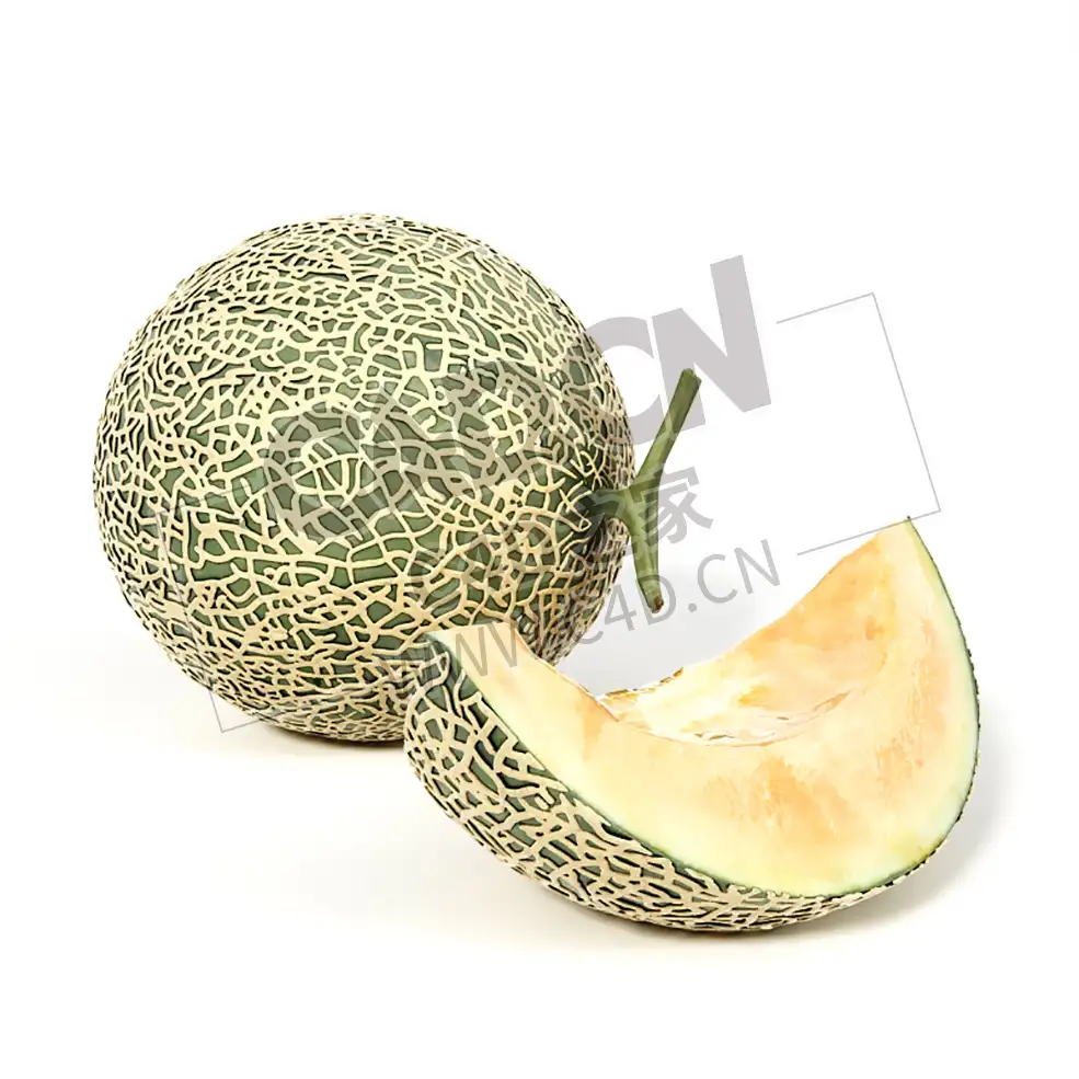 哈密瓜切开的水果一块哈密瓜C4D模型 Hami melon - C4D之家 - 002.jpg