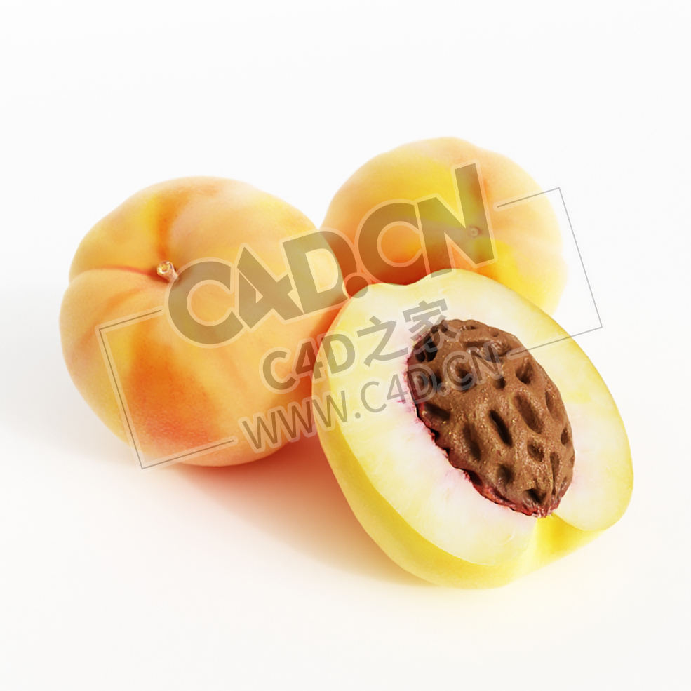 成熟的桃子切开的水果半块黄桃C4D模型 Peach - C4D之家 - 004.jpg