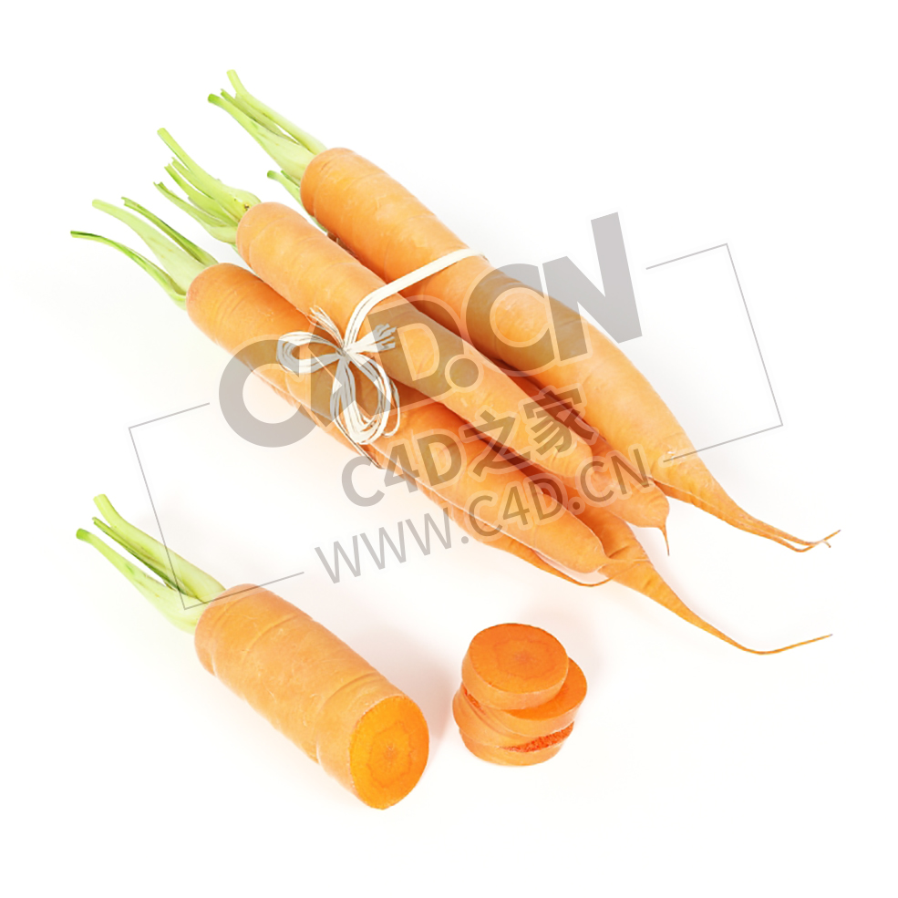 胡萝卜一捆胡萝卜切片的蔬菜C4D模型 Carrot - C4D之家 - 005.jpg