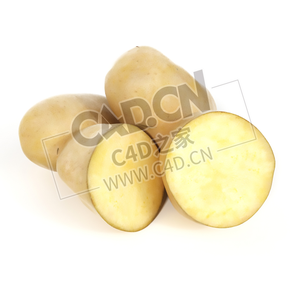 马铃薯蔬菜切开的土豆C4D模型 potato - C4D之家 - 007.jpg