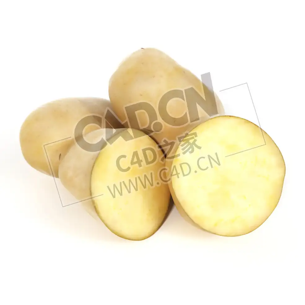 马铃薯蔬菜切开的土豆C4D模型 potato - C4D之家 - 007.jpg