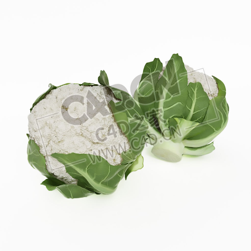 花椰菜菜花蔬菜C4D模型 Cabbage - C4D之家 - 008.jpg