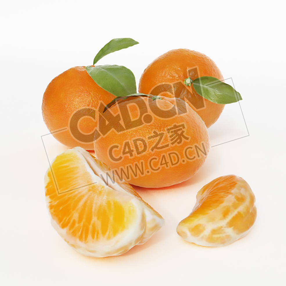 芦柑桔子带叶的橘子水果C4D模型 Orange - C4D之家 - 010.jpg