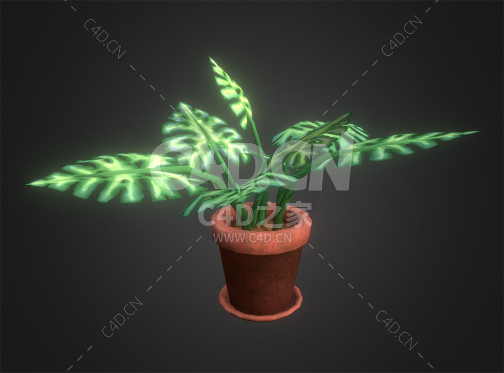 C4D程式化的盆栽植物大叶子龟背竹模型下载 - C4D之家 - 92.jpg