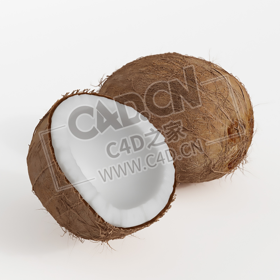 椰子果南方水果一半椰子C4D模型 Coconut - C4D之家 - 011.jpg