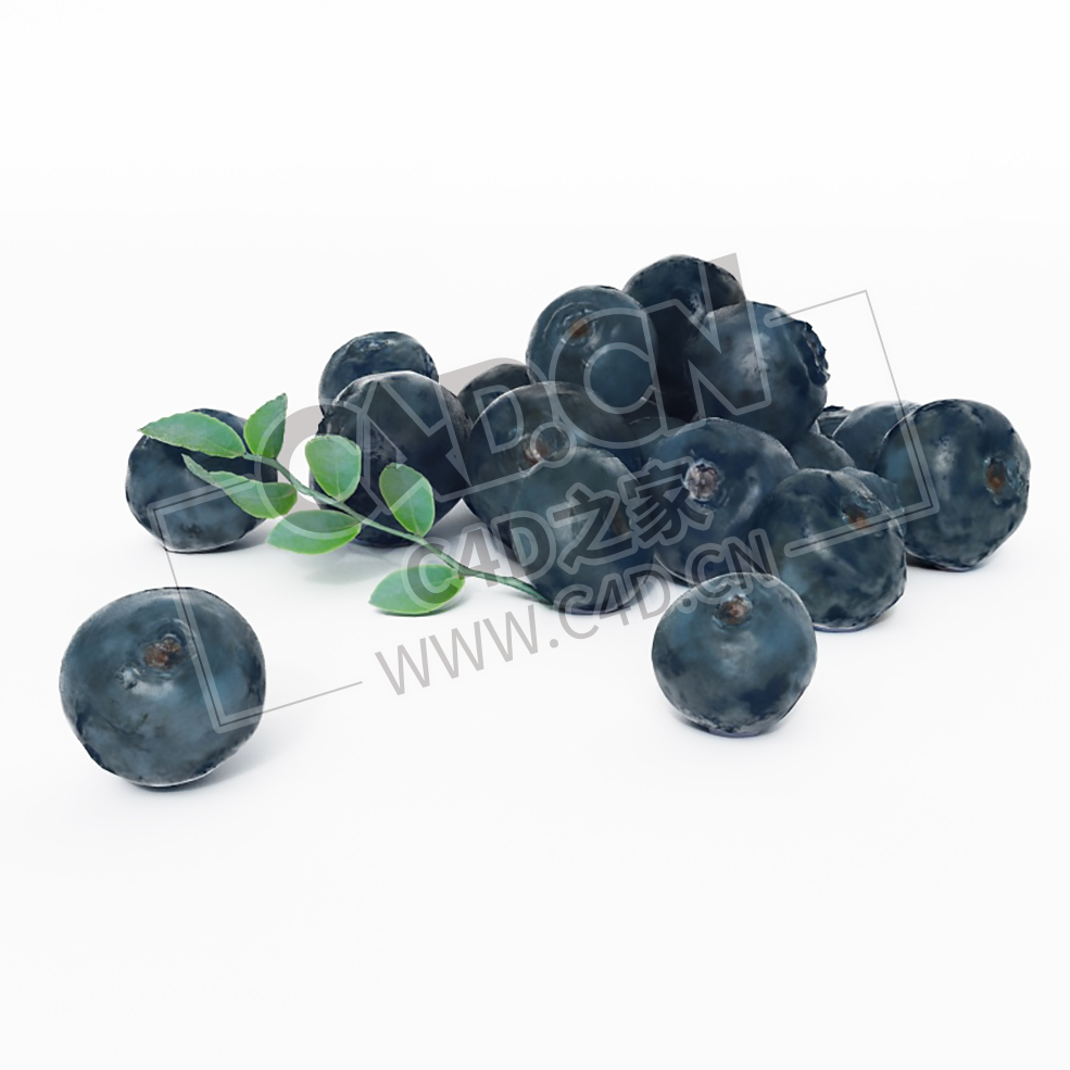 蓝莓果实带叶子的蓝莓水果C4D模型 Blueberry - C4D之家 - 014.jpg