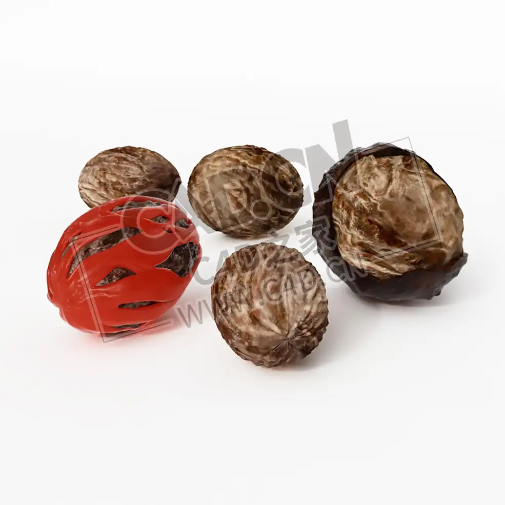 带皮的香果香料玉果果实C4D模型 Fragrant fruit - C4D之家 - 016.jpg