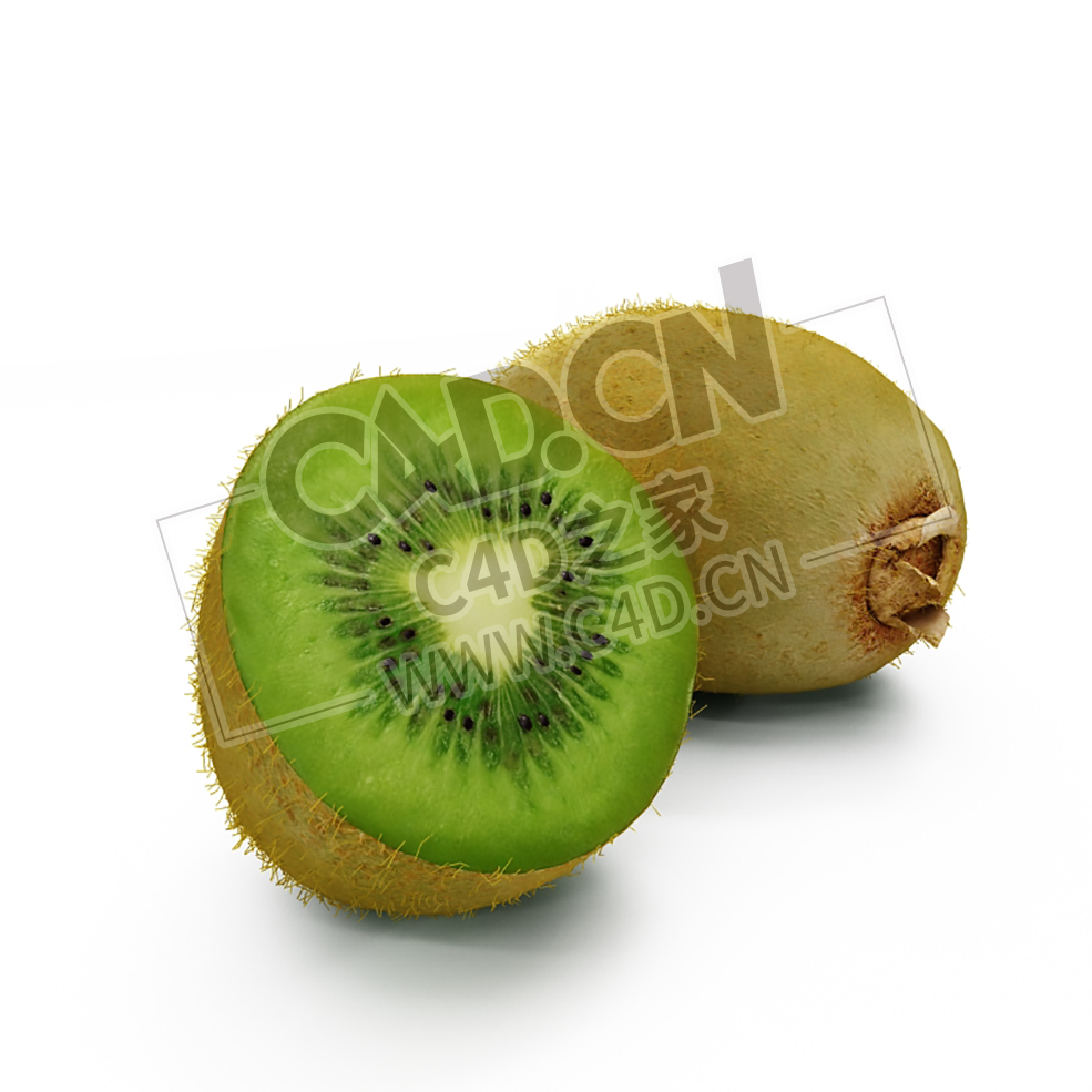 猕猴桃切开的水果猕猴桃一半猕猴桃C4D模型 kiwifruit - C4D之家 - 015.jpg