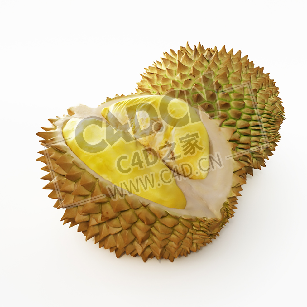 榴莲一半榴莲水果C4D模型 Durian - C4D之家 - 019.jpg