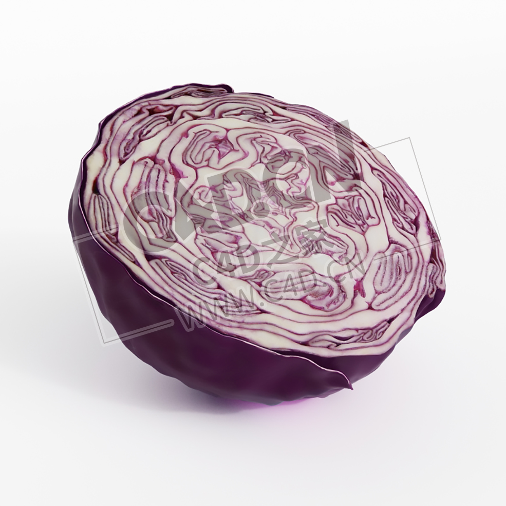 切开的紫甘蓝蔬菜C4D模型 Purple cabbage - C4D之家 - 020.jpg