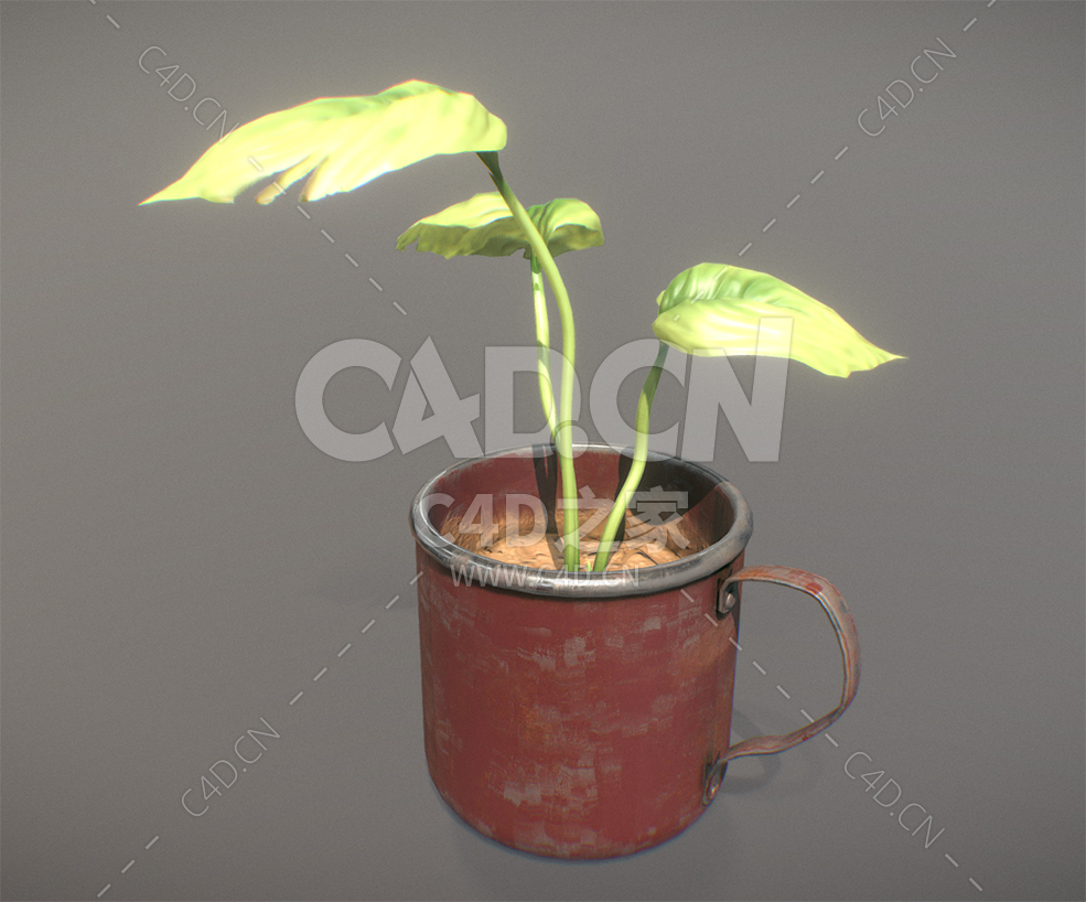 C4D种在茶缸里的三片叶子植物模型下载 - C4D之家 - 80.jpg