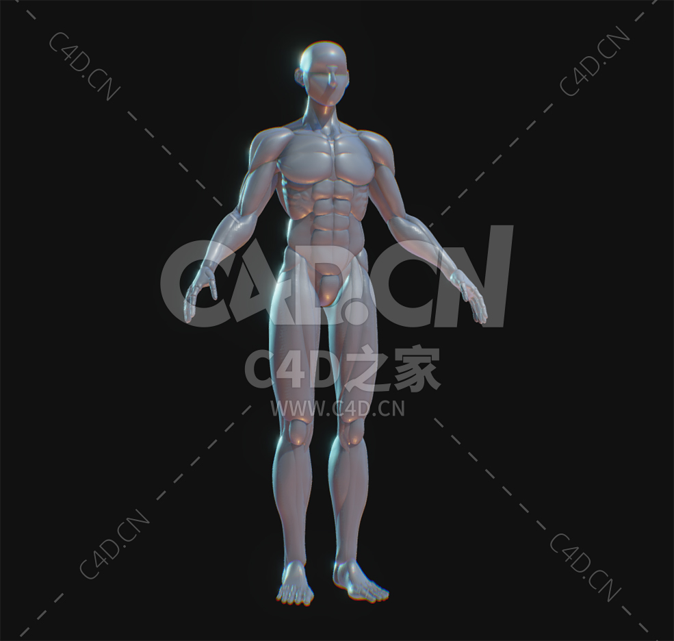 C4D强壮肌肉基础人体模型下载 - C4D之家 - 45.jpg