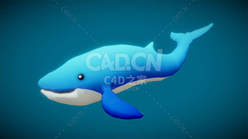 C4D卡通蓝鲸鱼动物模型下载 - C4D之家 - 49.jpg