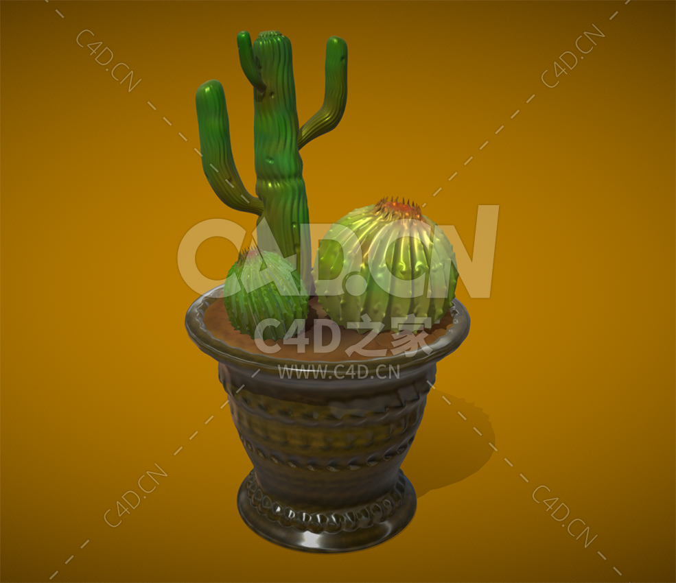 C4D写实仙人掌和仙人球盆栽景观树植物模型 CACTUS - C4D之家 - 35.jpg