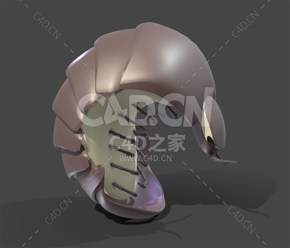 C4D卡通西瓜虫药丸虫昆模型下载 - C4D之家 - 38.jpg