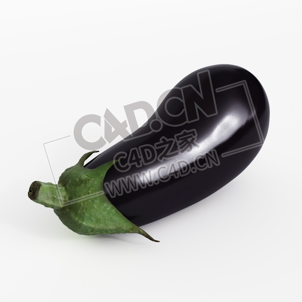 紫茄子蔬菜C4D模型 eggplant - C4D之家 - 025.jpg