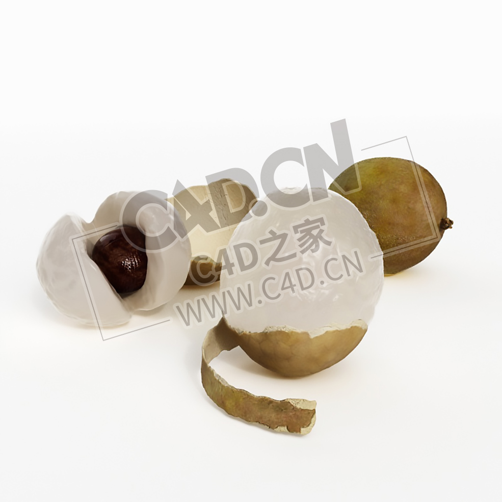 剥开的桂圆水果龙眼C4D模型 Longan - C4D之家 - 026.jpg