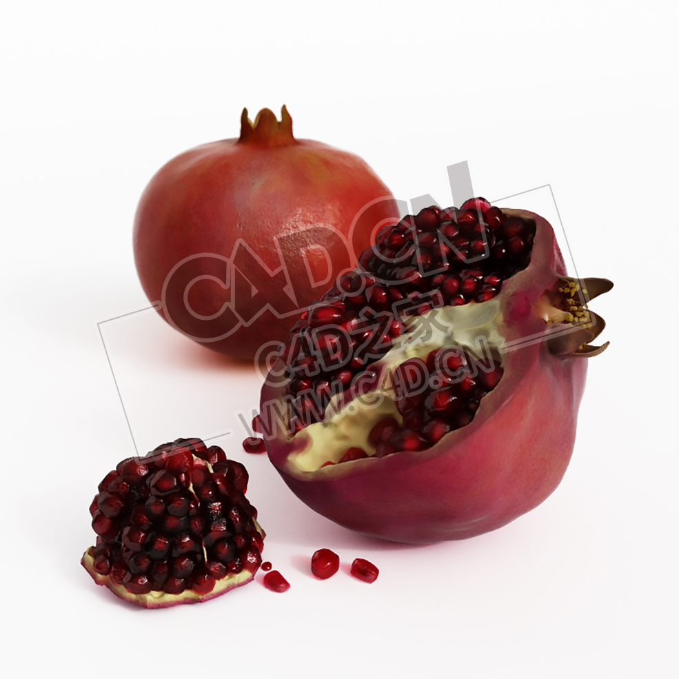 红石榴一半水果石榴籽C4D模型 pomegranate - C4D之家 - 027.jpg