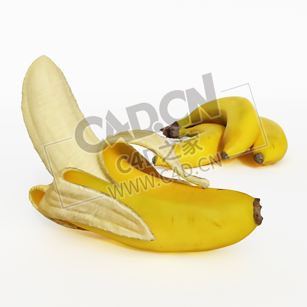 一把香蕉剥开的香蕉水果C4D模型 Banana - C4D之家 - 028.jpg