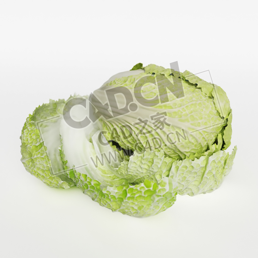 一棵大白菜剥开的白菜叶蔬菜C4D模型 Chinese Cabbage - C4D之家 - 031.jpg
