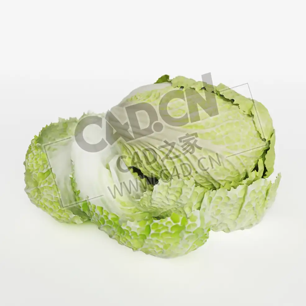 一棵大白菜剥开的白菜叶蔬菜C4D模型 Chinese Cabbage - C4D之家 - 031.jpg