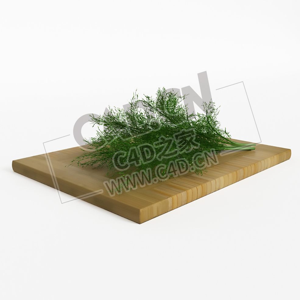 菜板上的蔬菜茴香C4D模型 fennel - C4D之家 - 033.jpg