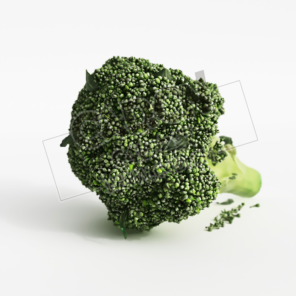 西兰花蔬菜C4D模型 Broccoli - C4D之家 - 032.jpg
