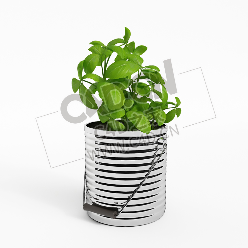 铁桶调味植物蔬菜罗勒C4D模型 sweet basil - C4D之家 - 037.jpg