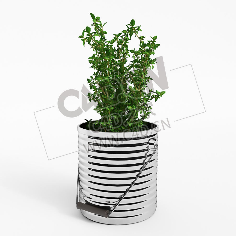 铁桶调味植物蔬菜薄荷C4D模型 Mint - C4D之家 - 034.jpg