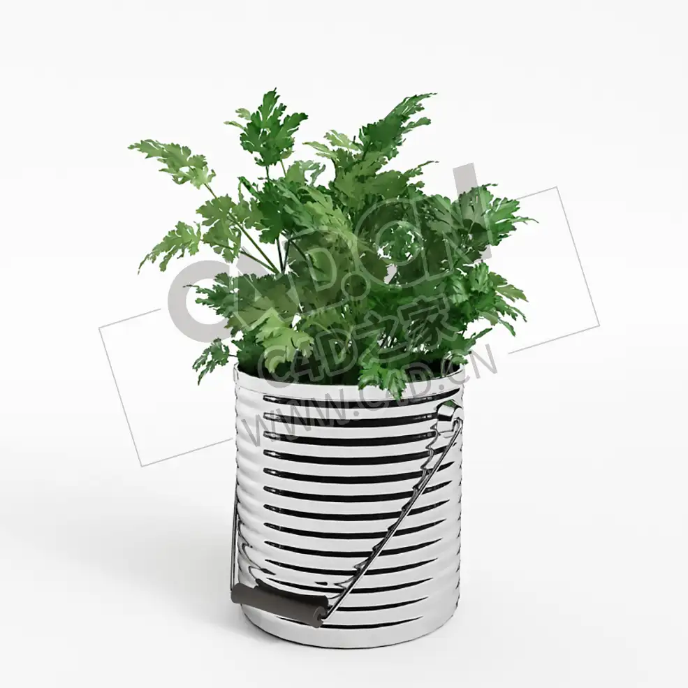铁桶调味植物蔬菜水芹C4D模型 Water celery - C4D之家 - 036.jpg