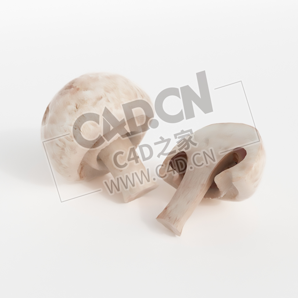 白蘑菇蔬菜切开的蘑菇C4D模型 White mushroom - C4D之家 - 041.jpg