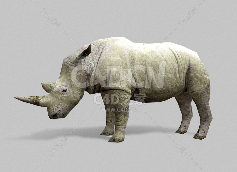 C4D逼真写实独角犀牛动物模型下载 - C4D之家 - 08.jpg