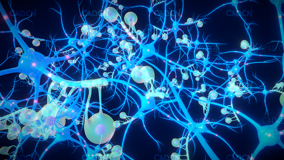 C4D神经元细胞群医学模型 - C4D之家 - 17.jpg