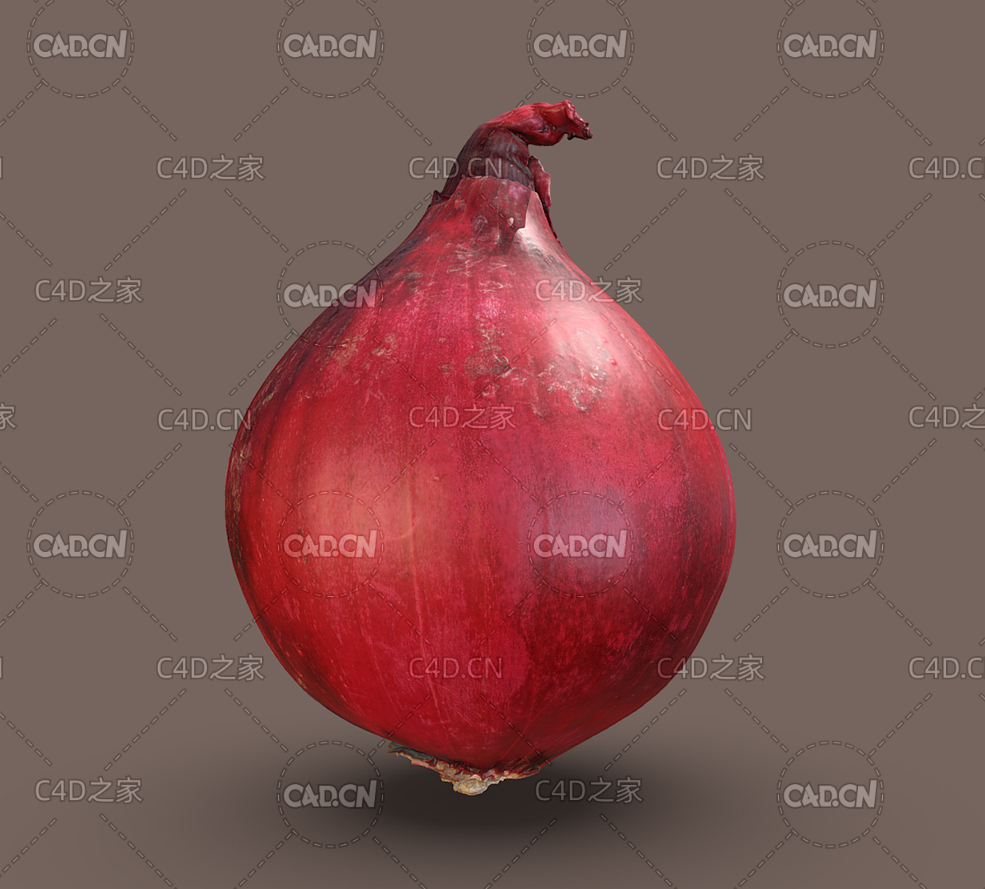 C4D红洋葱蔬菜模型 - C4D之家 - 25.jpg
