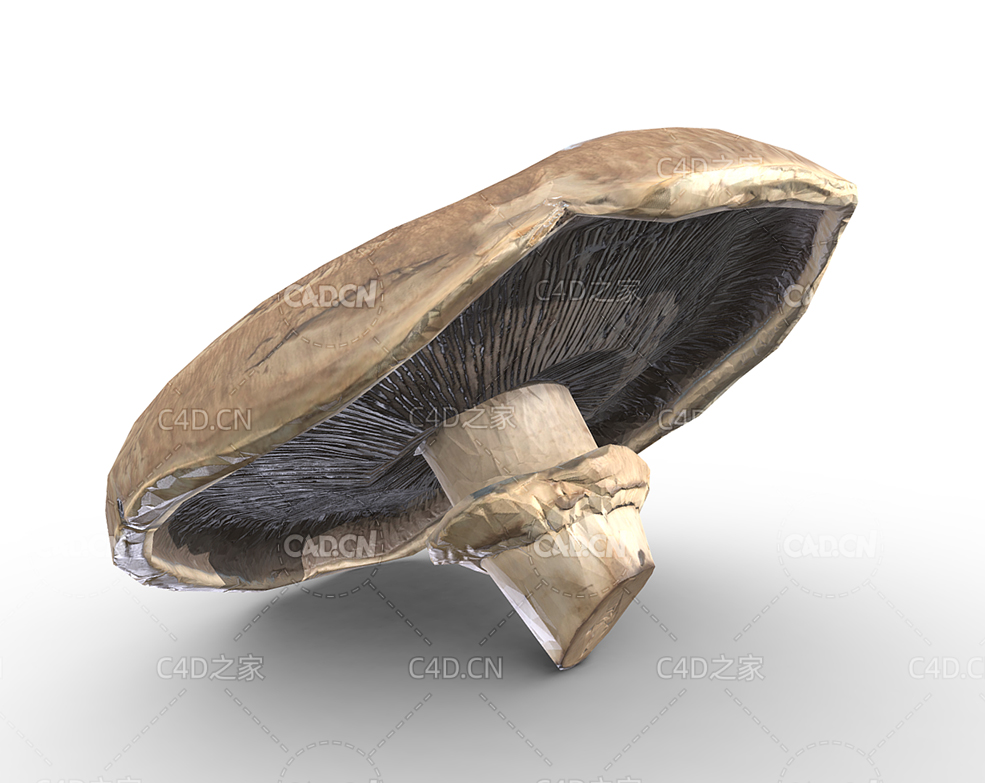 C4D蘑菇蔬菜食物模型 - C4D之家 - 27.jpg