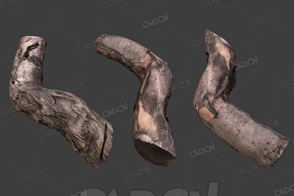 C4D弯曲的朽木桩模型下载 woodLog_3 - C4D之家 - 15.jpg