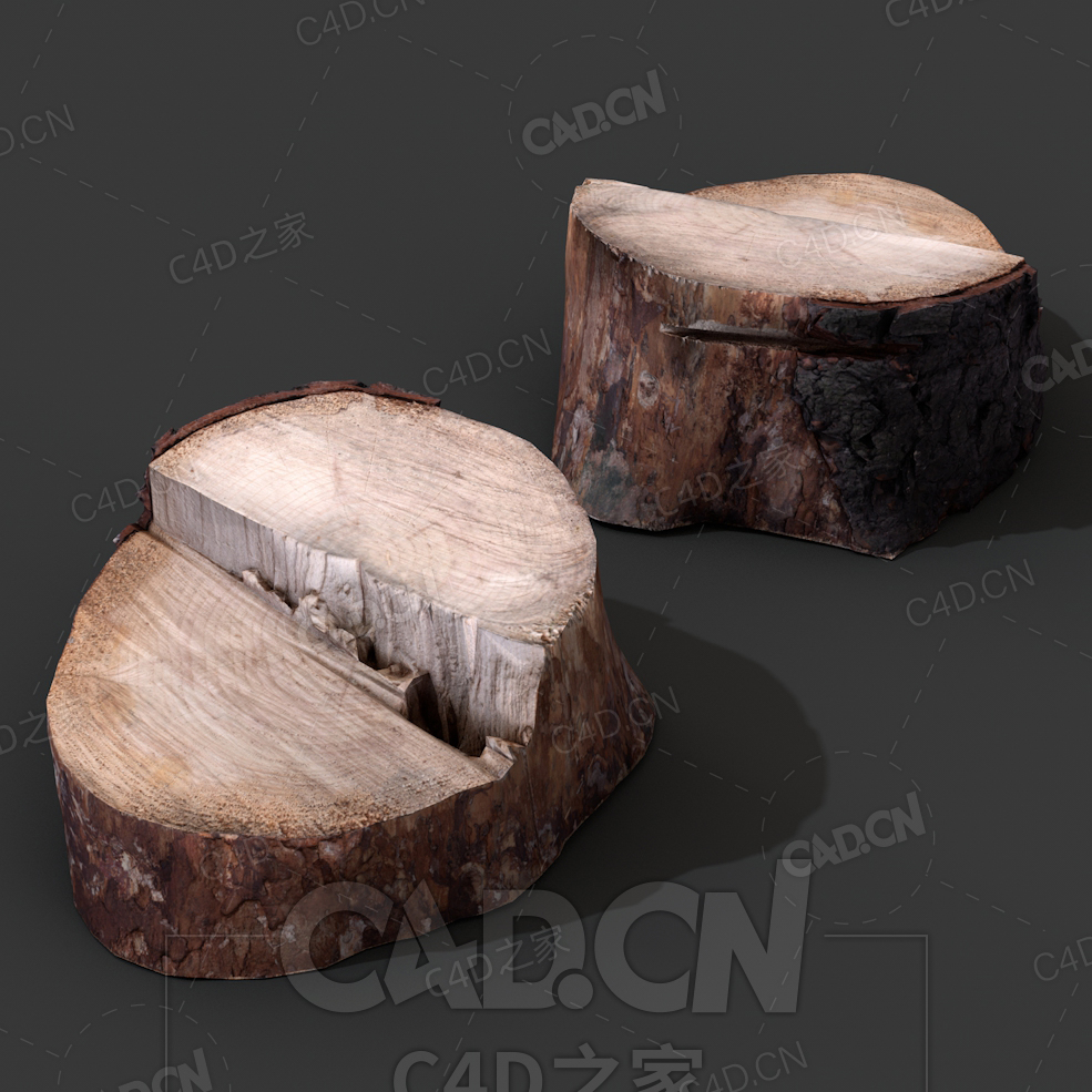C4D锯开树桩木闲桩模型下载 stump_5 - C4D之家 - 11.jpg