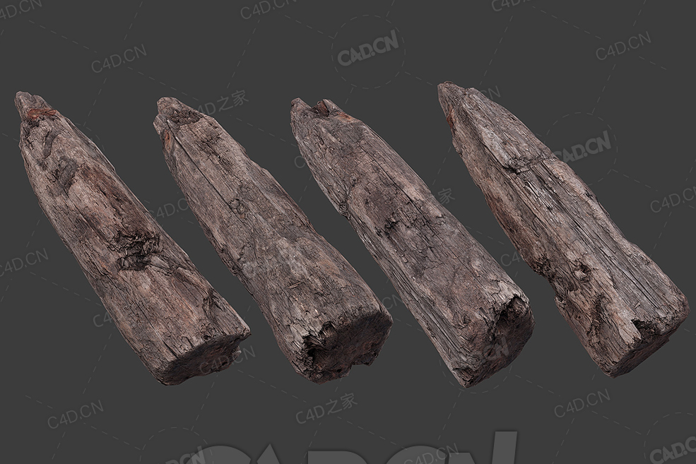 C4D腐朽的木头桩模型下载 woodLog_2 - C4D之家 - 14.jpg