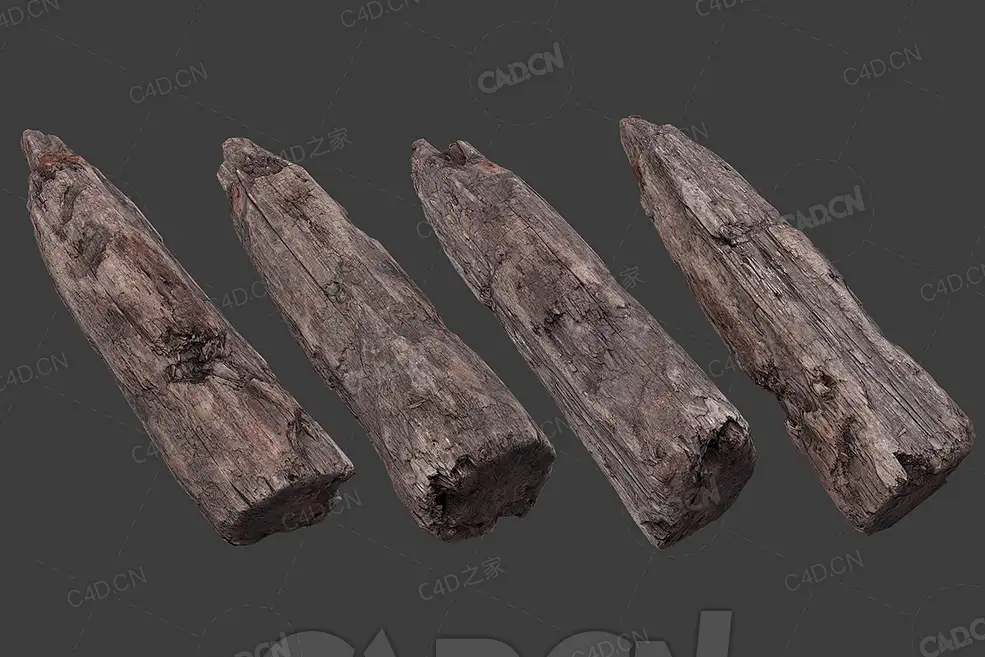 C4D腐朽的木头桩模型下载 woodLog_2 - C4D之家 - 14.jpg