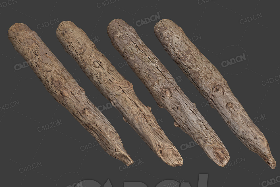 C4D干枯的木头模型下载 woodLog_4 - C4D之家 - 16.jpg
