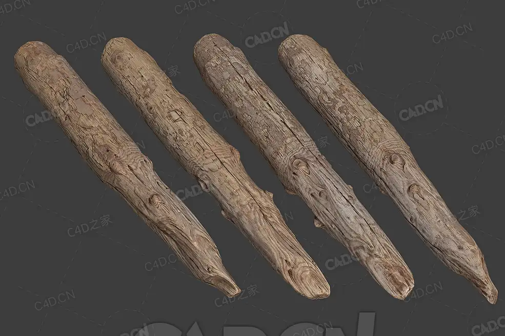 C4D干枯的木头模型下载 woodLog_4 - C4D之家 - 16.jpg